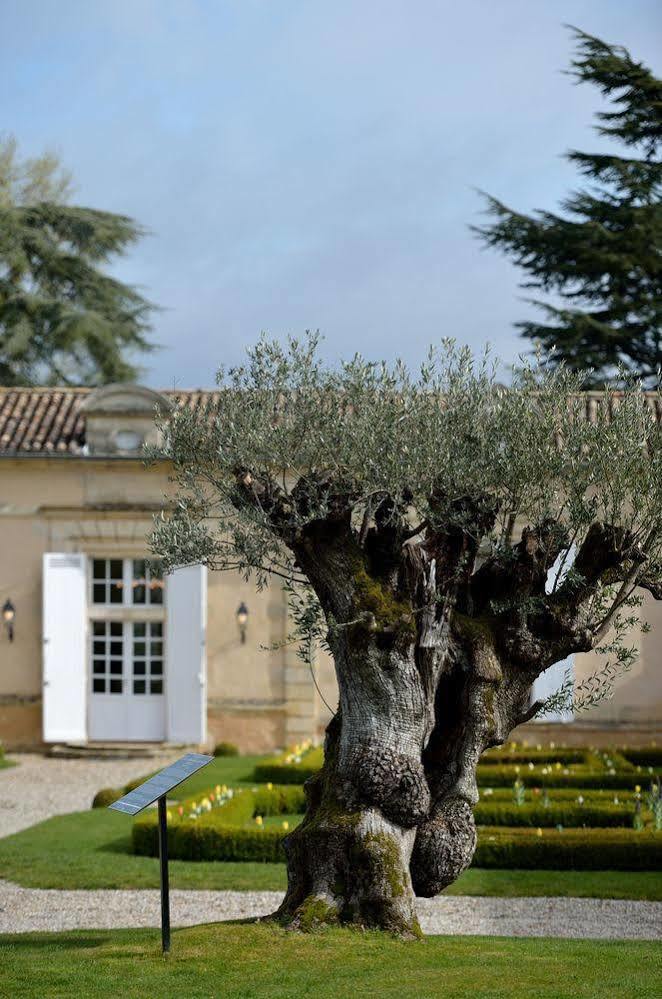 Chateau Fombrauge Saint-Christophe-des-Bardes Luaran gambar